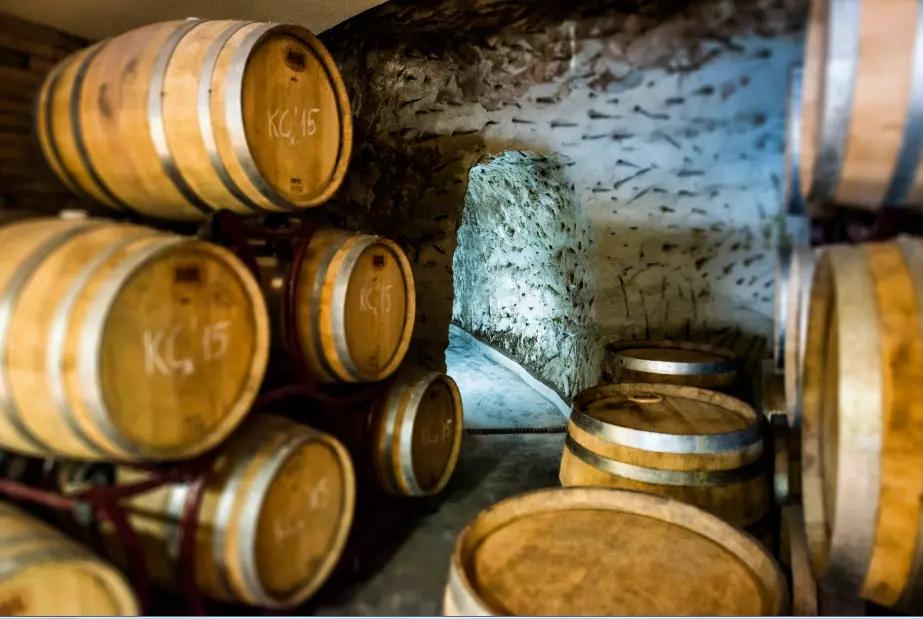 Vinregionerna Danubian plain och Struma valley