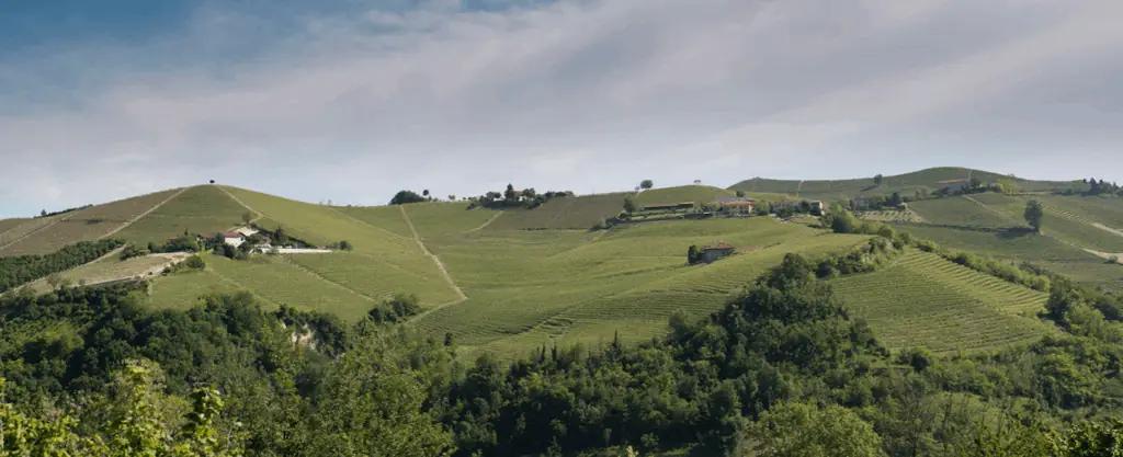 Azienda Agricola Bricco Maiolica