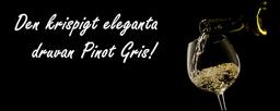 Druvan Pinot Gris – en druva med många ansikten