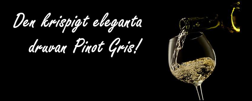 Druvan Pinot Gris – en druva med många ansikten