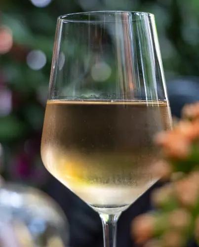 Druvan_pinot_gris ett kallt glas vitt