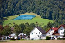 Baden – Vinregionen nära Svartskogen – Din insider guide till de bästa vingårdarna