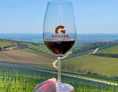 Tokaj och Villany – Ungerns äldsta och mest dynamiska vinregioner