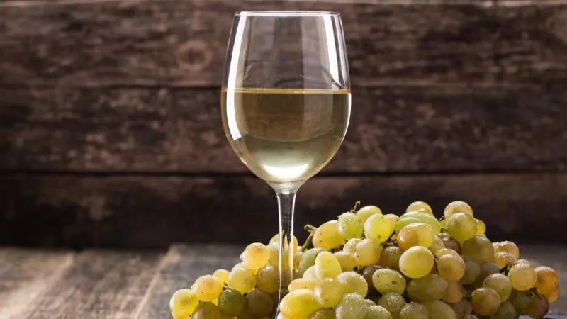 Nya vinvärlden - ett glas chardonnay med druvor