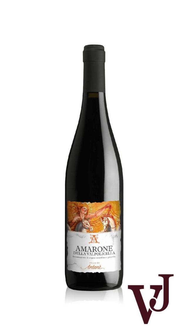 Le Ville di Antanè Amarone della Valpolicella - Vinjournalen.se Le Ville di Antanè Amarone della Valpolicella från www.vinjournalen.se