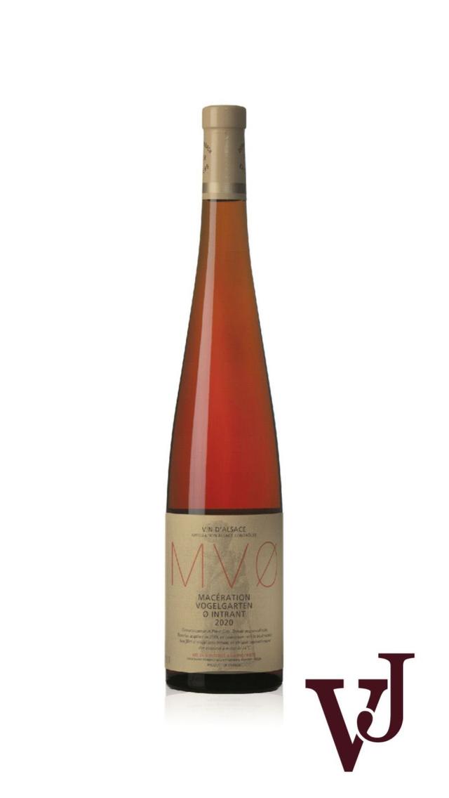 MVØ Macération Vogelgarten ø Intrant 2020 - Vinjournalen.se MVØ Macération Vogelgarten ø Intrant 2020 från www.vinjournalen.se