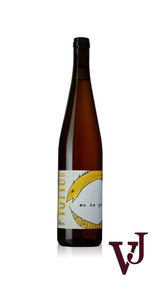Tutto Anfora Bianco La Ginestra 2021