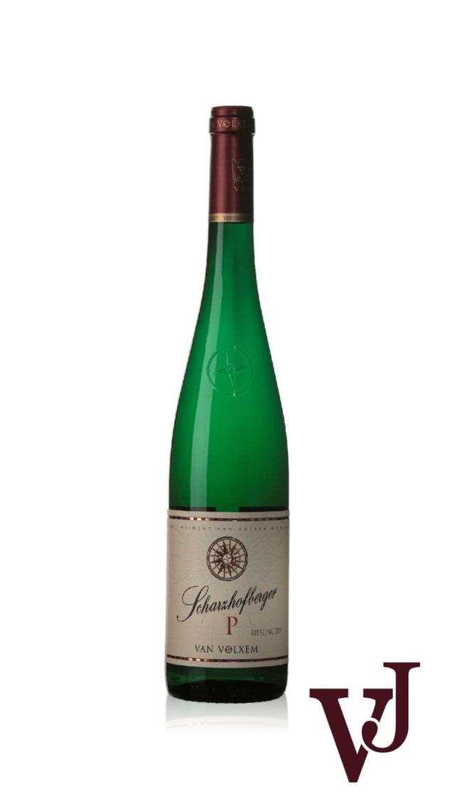 Weingut Van Volxem Scharzhofberger Pergentsknopp GG 2019 - Vinjournalen.se Weingut Van Volxem Scharzhofberger Pergentsknopp GG 2019 från www.vinjournalen.se
