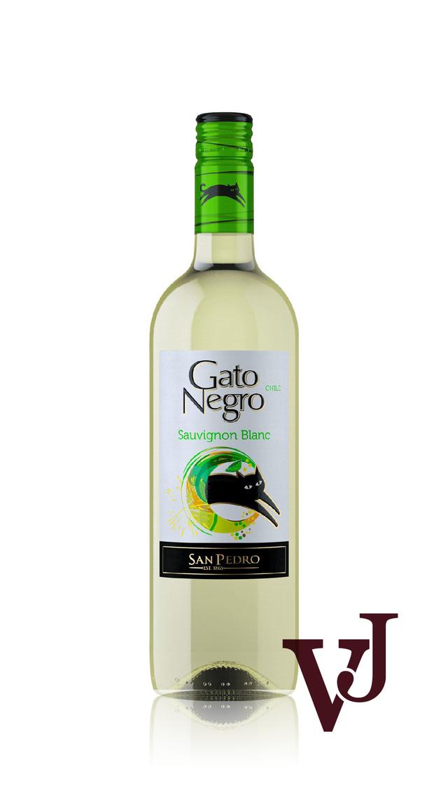 Gato Negro Sauvignon Blanc - Vinjournalen.se Gato Negro Sauvignon Blanc från www.vinjournalen.se