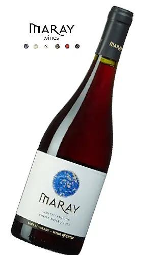 Chilensk Pinot Noir och en frittata med Gruyère