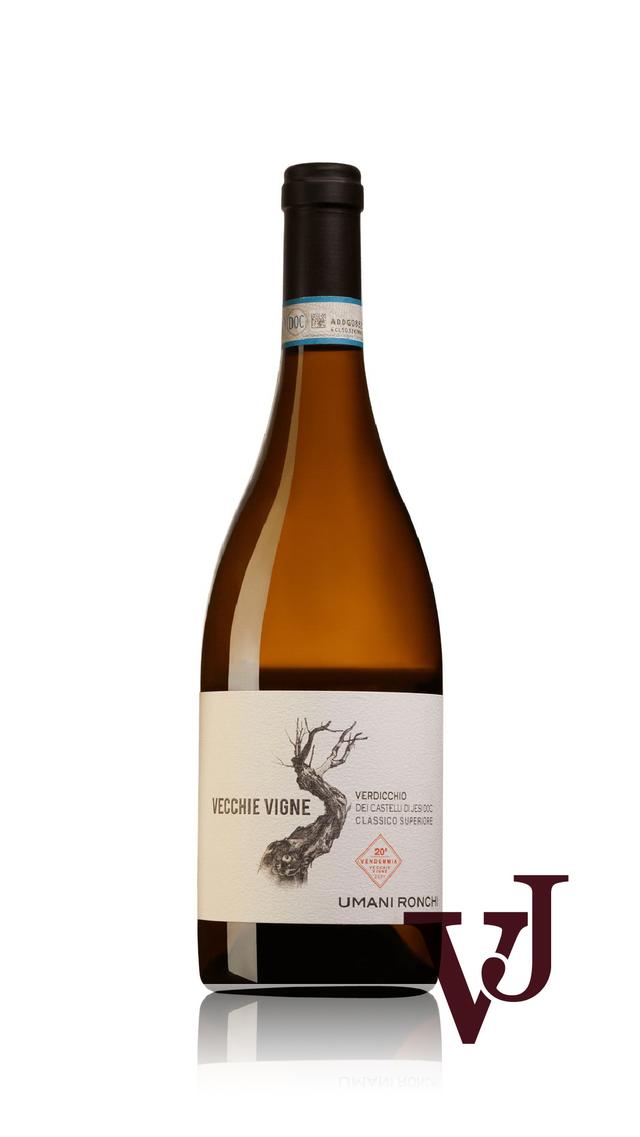 Umani Ronchi Vecchie Vigne 2021 - Vinjournalen.se Umani Ronchi Vecchie Vigne 2021 från www.vinjournalen.se