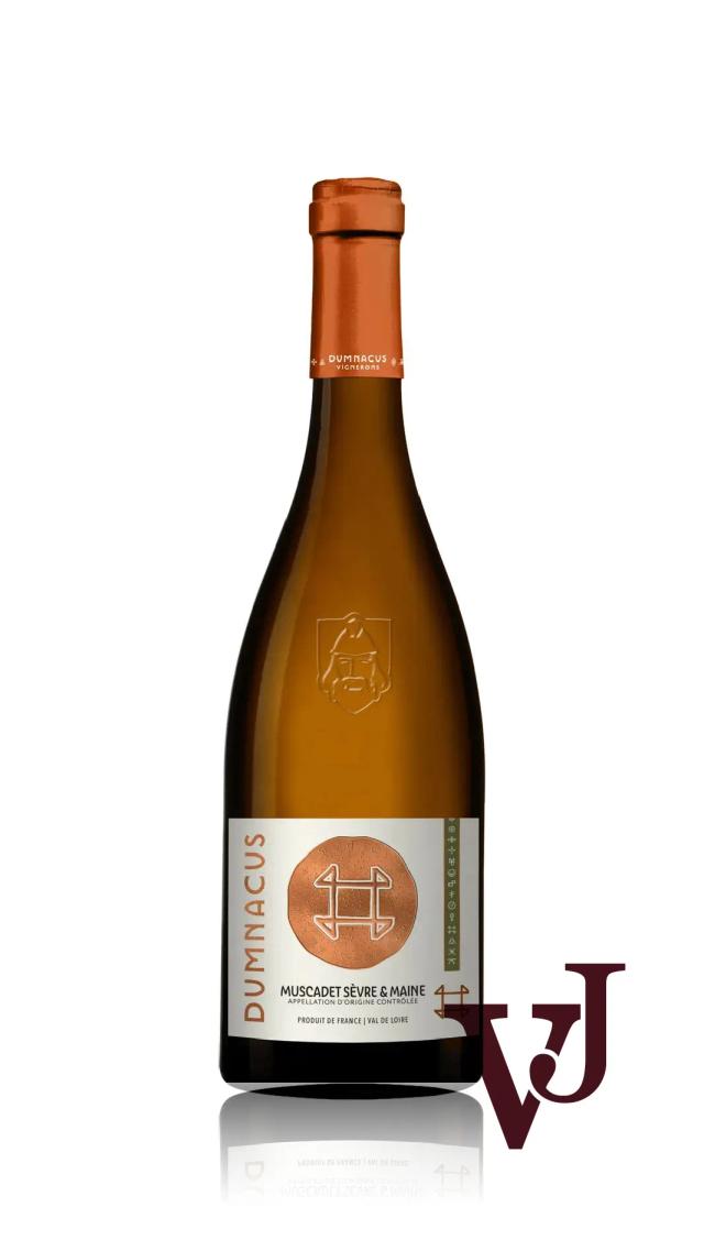 Muscadet Sèvre et Maine Dumnacus Vignerons - Vinjournalen.se Muscadet Sèvre et Maine Dumnacus Vignerons från www.vinjournalen.se