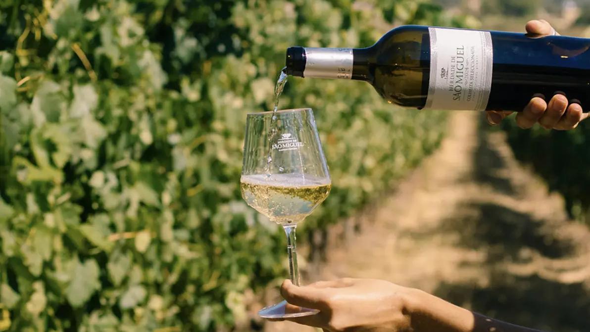 Casa Relvas: Ett arv rotat i land och familj Casa Relvas: Ett arv rotat i land och familj