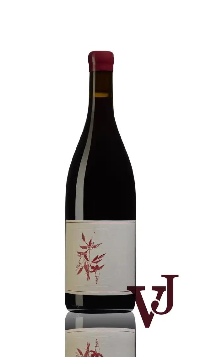 Arnot-Roberts Syrah - Vinjournalen.se Arnot-Roberts Syrah från www.vinjournalen.se