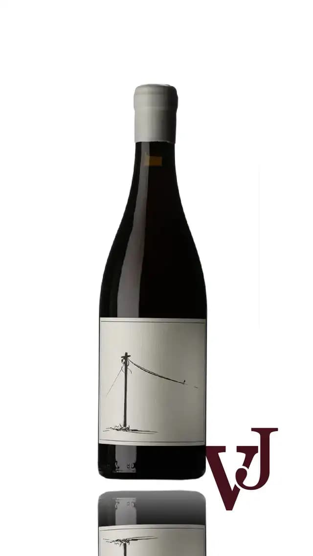 Savage Wines Follow The Line Cinsault - Vinjournalen.se Savage Wines Follow The Line Cinsault från www.vinjournalen.se