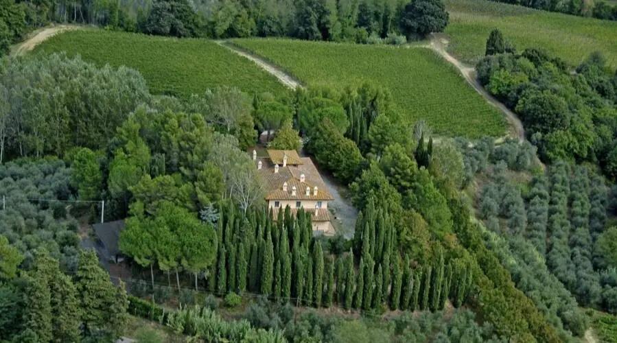 Fattoria Uccelliera – Toscanas viskning i vin och oliv