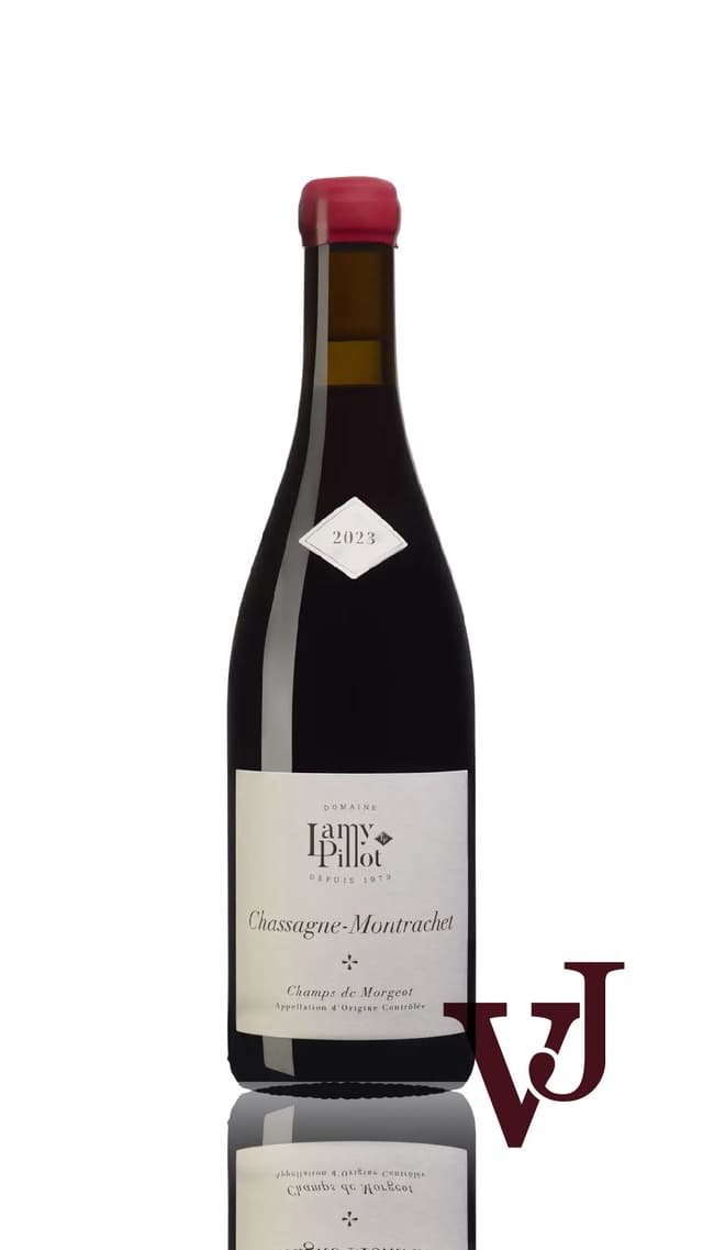 Chassagne-Montrachet Champs de Morgeot Rouge Domaine Lamy-Pillot, 2023 Chassagne-Montrachet Champs de Morgeot Rouge Domaine Lamy-Pillot, 2023 Rött vin från Bourgogne