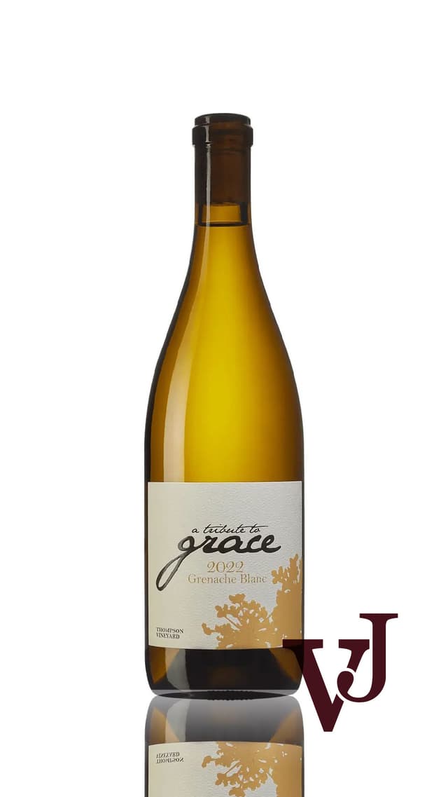 Grenache Blanc A Tribute to Grace, 2022 - Vinjournalen.se Grenache Blanc A Tribute to Grace, 2022 från www.vinjournalen.se