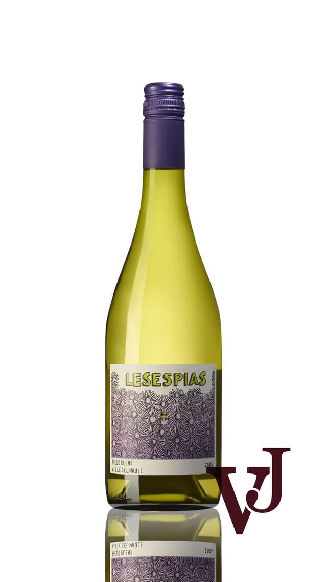 Moretta Wines Les Espias Field Blend, 2024 - Vinjournalen.se Moretta Wines Les Espias Field Blend, 2024 från www.vinjournalen.se