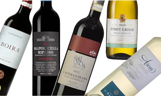 Pappardelle & chiliolja och jordnötter – 5 vintips Pappardelle & chiliolja och jordnötter – 5 vintips