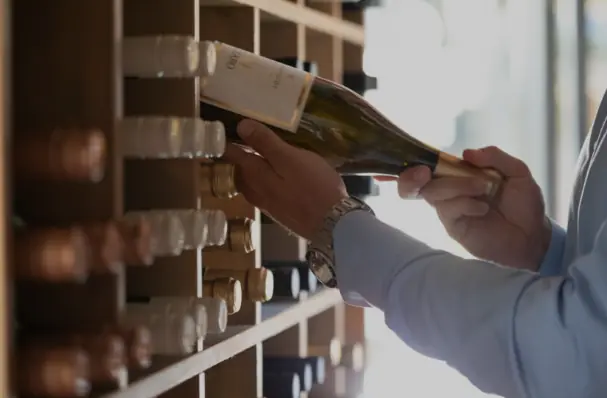 Zaro Wines - Vingården som även producerar olivolja
