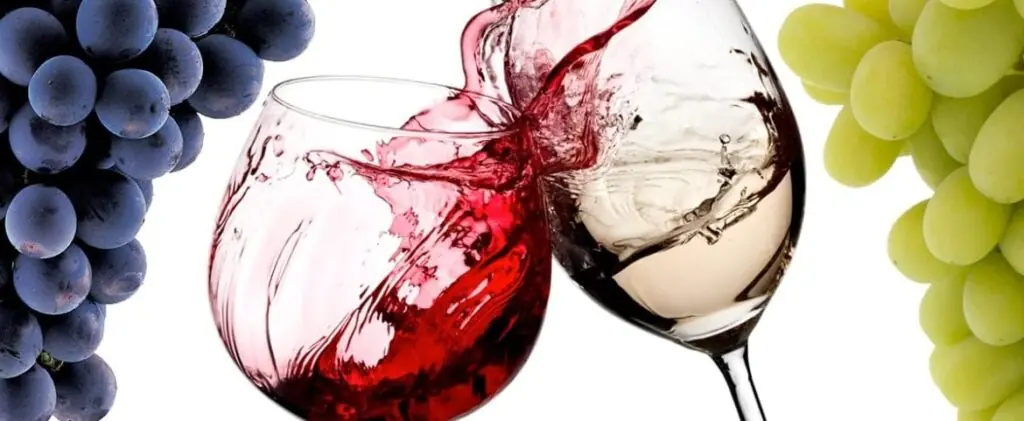 Kolhydrater vin & rött vin kolhydrater - Så dricker du smart