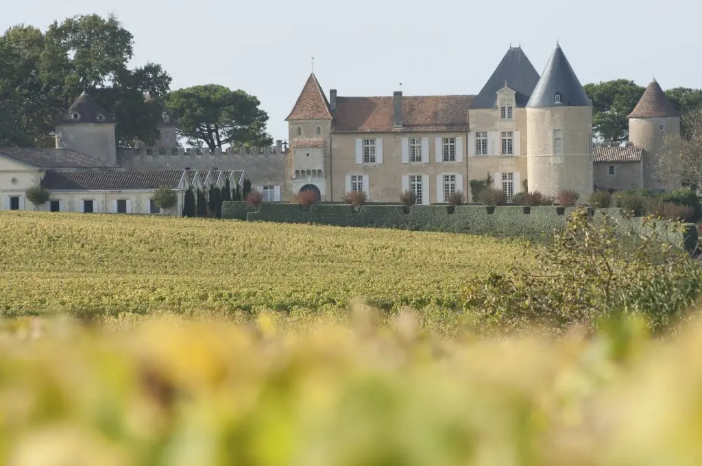 Sauternesvin