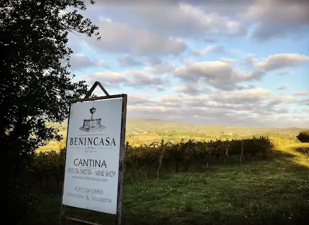 Cantina Benincasa - Ägaren jobbade med sin farfar under barndomen