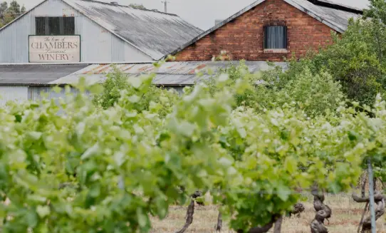 Chambers Rosewood Winery - vingården som grundades 1858