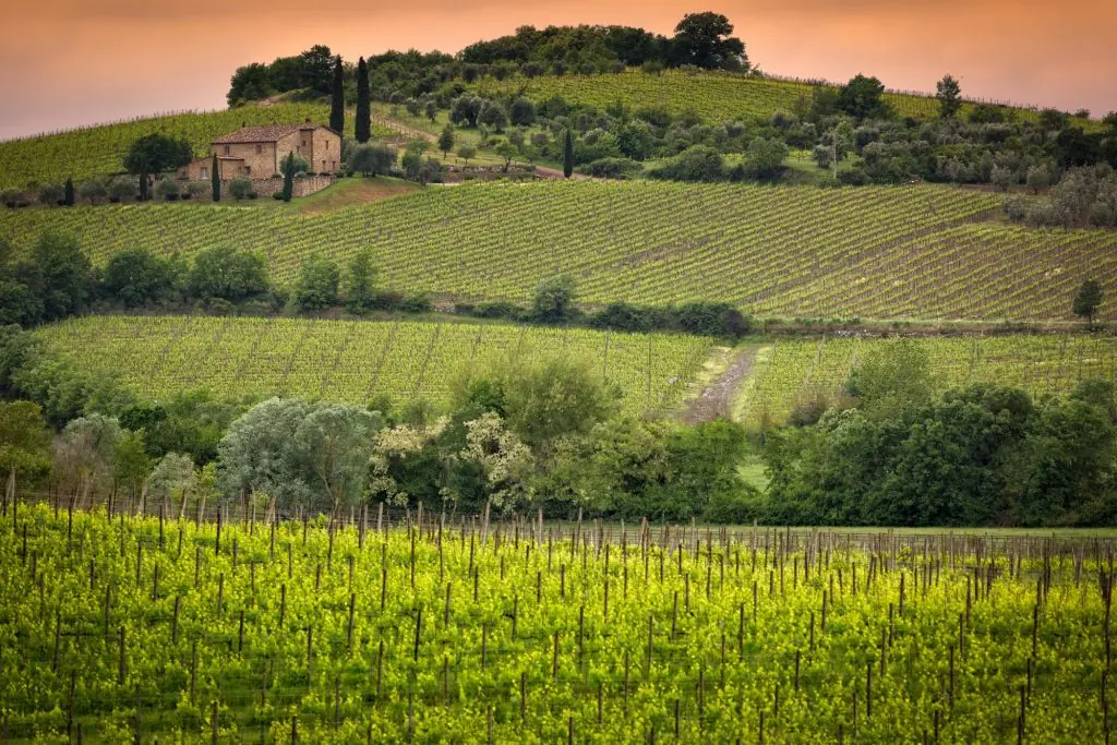 toscana-brunello