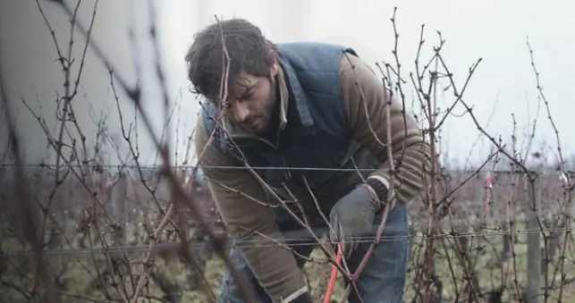 vinfilmer - Bourgogne