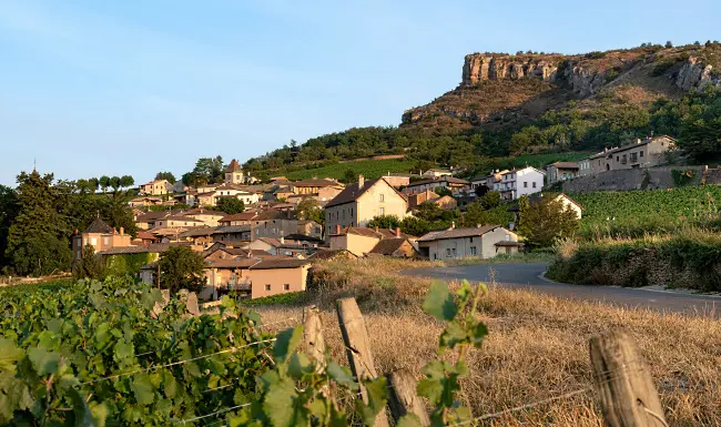 Pouilly-Fuissé - vy över vngårdar