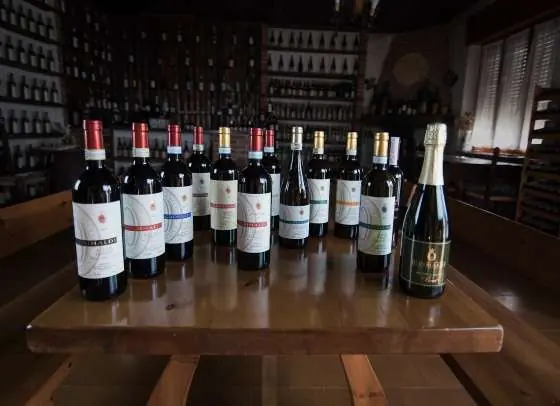 dolcetto - ett urval viner i flaskor