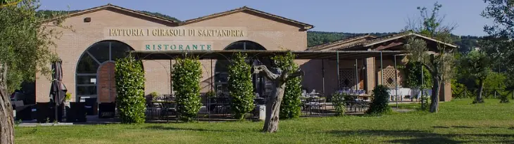 I Girasoli Di Sant'andrea - Vingården med gourmetlunch och vinprovning