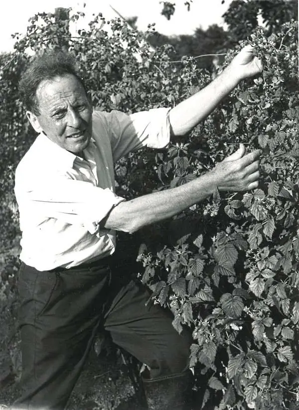 veganska viner - grundare Donald Watson