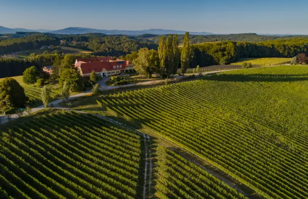 Herrenhof Lamprecht - Vingården som producerar ekologiska viner