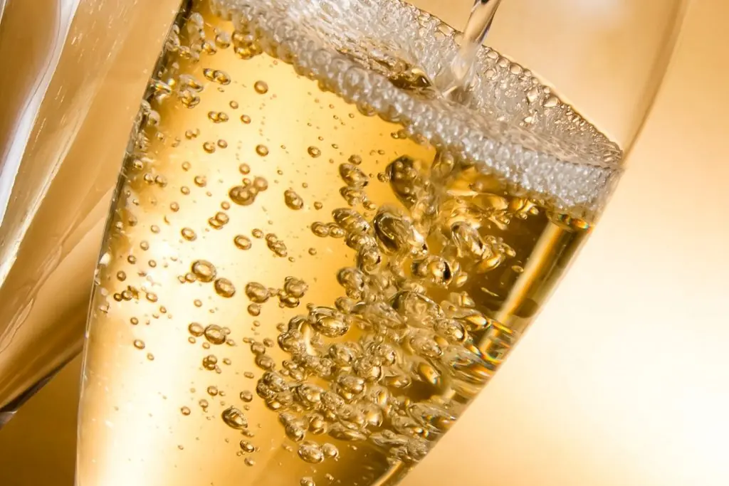 blance-de-blance-champagne