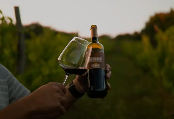 Steras Wines - Vingården som odlar gamla istriska druvsorterna