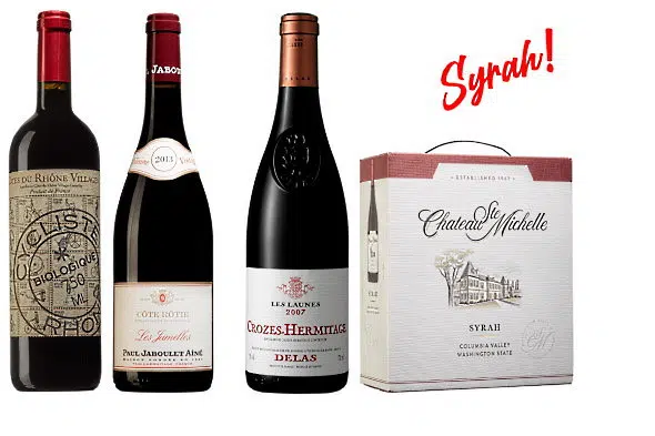 yrah och Shiraz provning Syrah viner