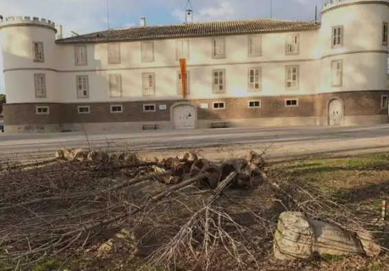 Castell Del Remei - vingården som är en av de äldsta i regionen