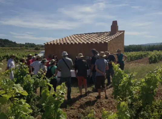 Carlania Celler - vingården som producerar naturliga viner