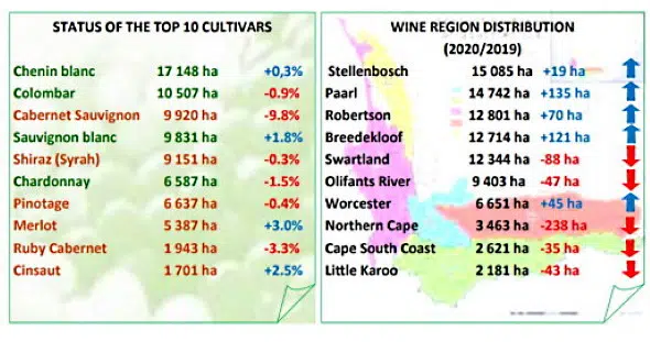 sydafrikas Cabernet-viner i siffertabell