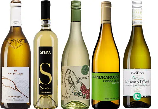 vitvinsdruvor 5 första vinerna