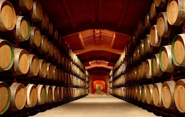 Bodegas Fernandez De Arcaya - Vingården som försöker att använda mindre vatten