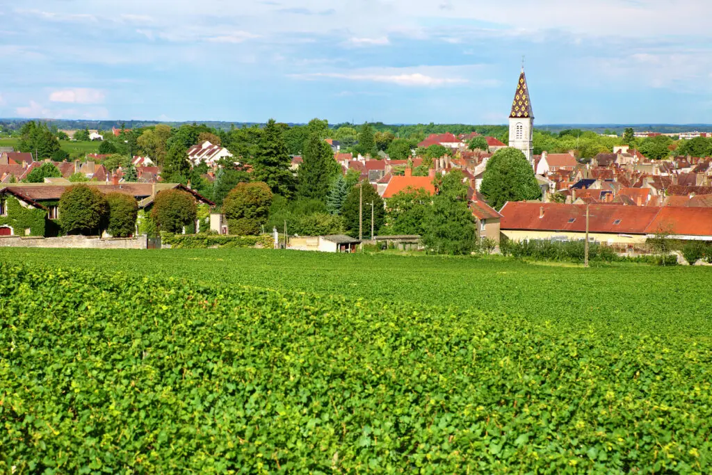 Södra Rhône