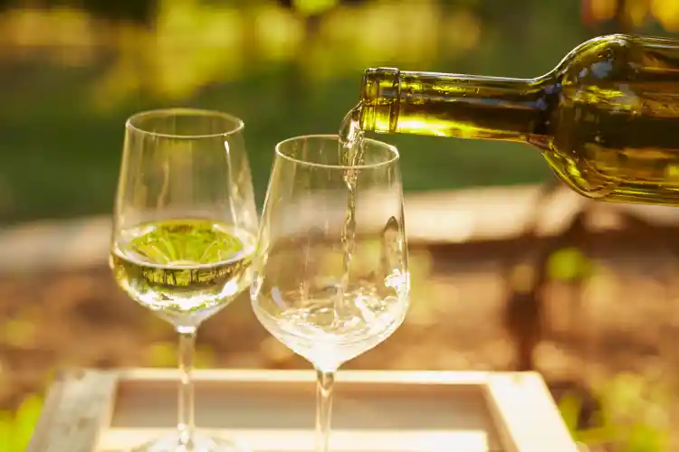 Kalorier vitt vin per dl - Smart guide för viktkontroll