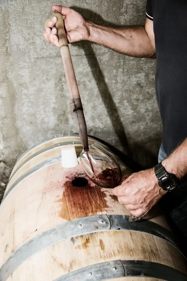 Dolcetto testas av direkt ur tunna.