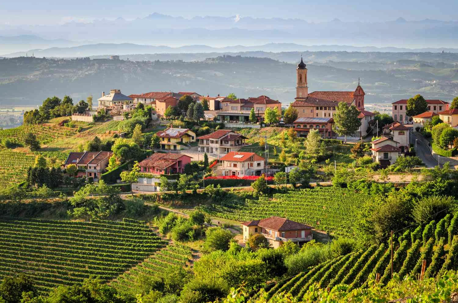 treiso--the-langhe--598149898-d6a06f9dbb4f432b9f6e40698d910569.jpg