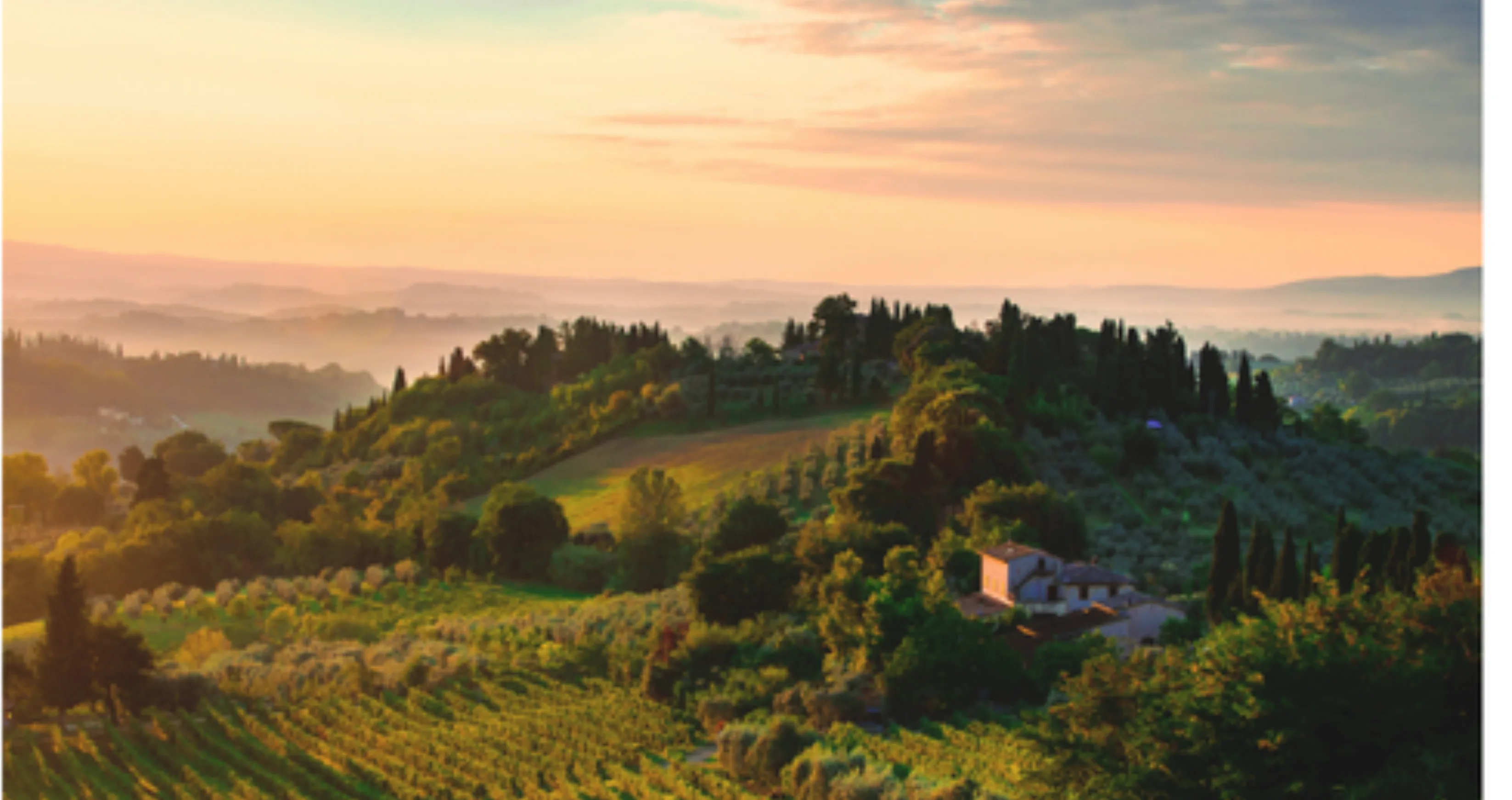 Crisp White 2024 Wine Banner - Left Aligned (8).png