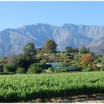 breede-valley-vinregionen-landskap